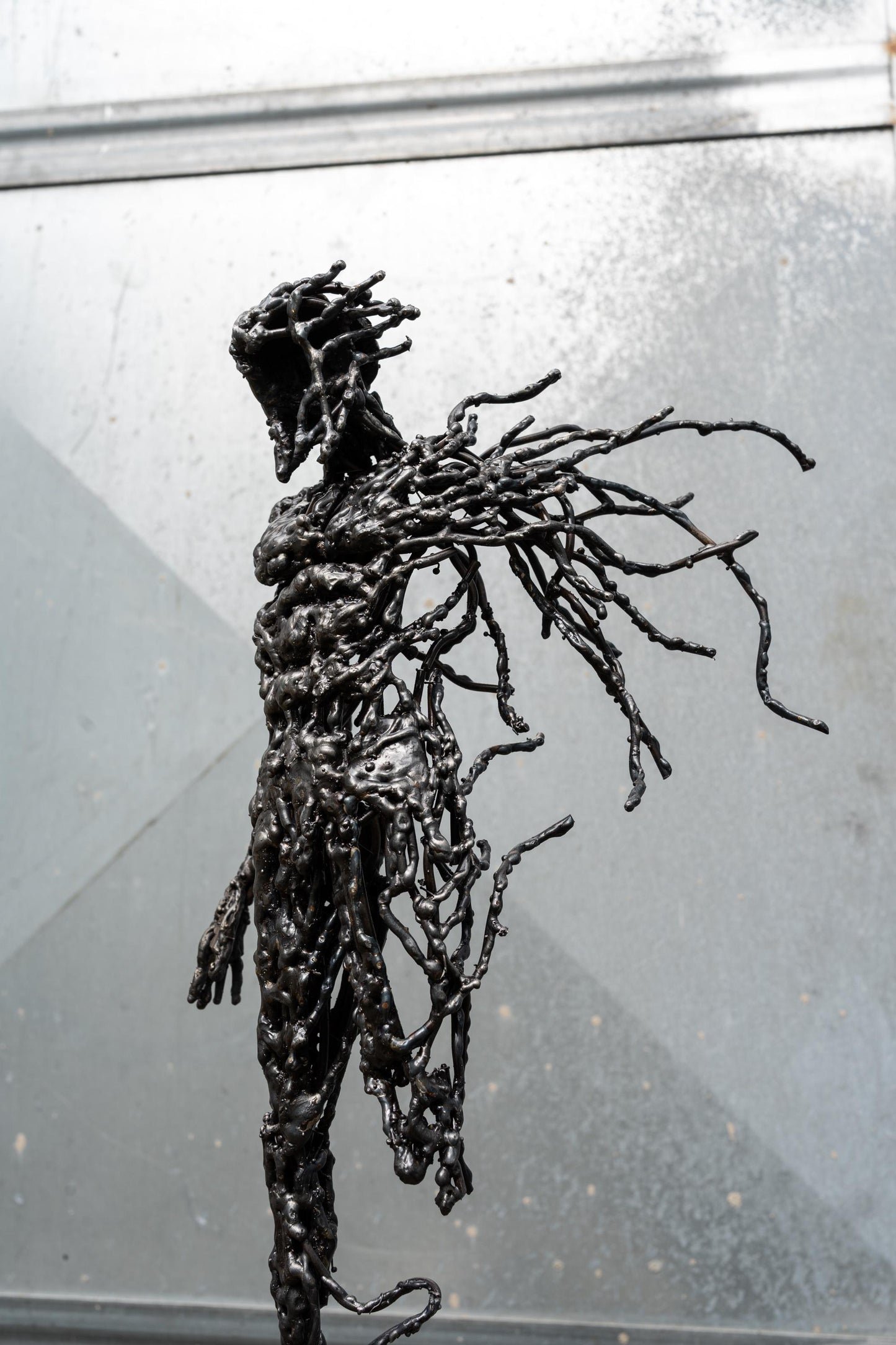 Echo