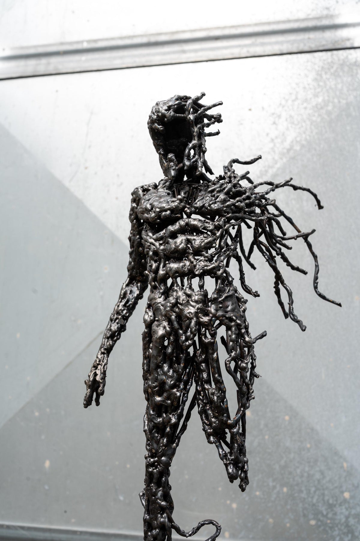 Echo